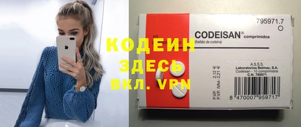 хмурый Белокуриха