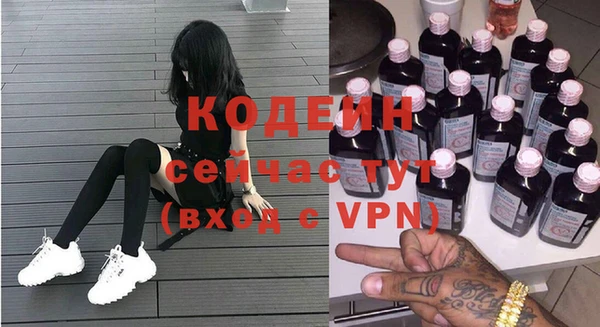 хмурый Белокуриха