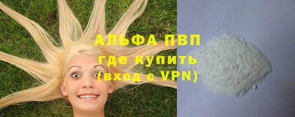 хмурый Белокуриха