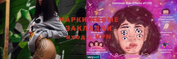 хмурый Белокуриха