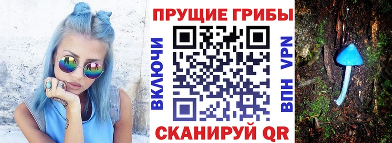 купить наркотик Кушва Псилоцибиновые грибы прущие грибы